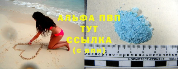 амф Дмитров