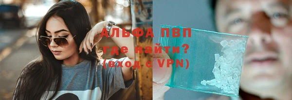 амф Дмитров