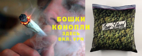 амф Дмитров